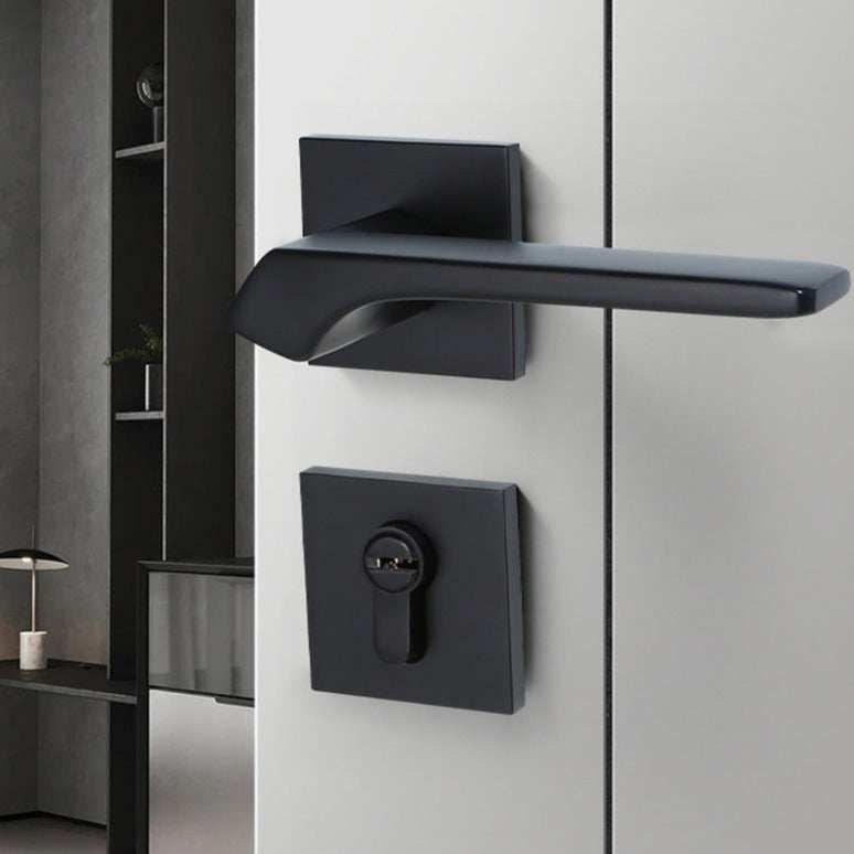 Entry Door Lock Elegant design Simple E-Z-0078-S1