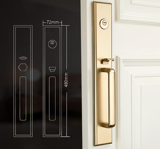 Luxury Anti-Theft Door Locks